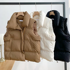 New Autumn Winter Women's Oversize Jacket Plush Warm Coat Skin-friendly Solid Jacket With Pocket Zip Sleeveless Vest